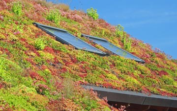 Crabgate living roof systems