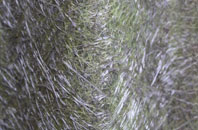 Crabgate fibreglass roof work